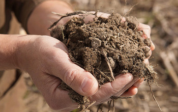 Scientists are using measures of soil moisture as a way of predicting flash droughts to come.